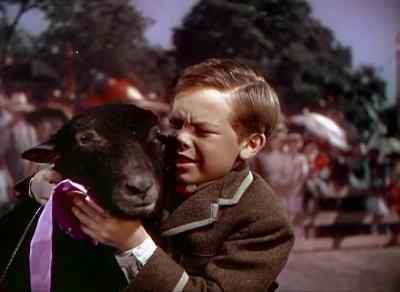 Aw, gee whiz, Danny. - So Dear to My Heart