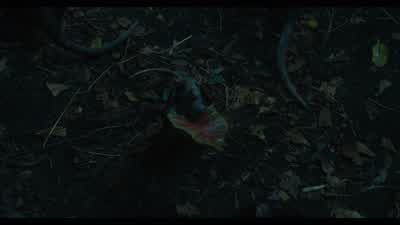 Aw He's offering you a pretty leafto show you he means no harmWhy the fuck would I want a leafJust get the rats out of here - The Suicide Squad