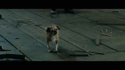 Aw. The only one with courage. So innocent. - Alita: Battle Angel