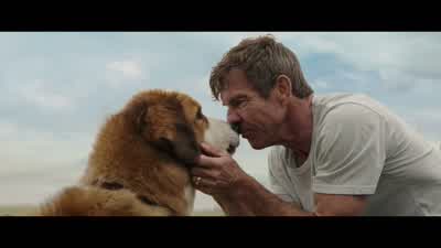 Aw. Mmm, yeah. - A Dog's Purpose