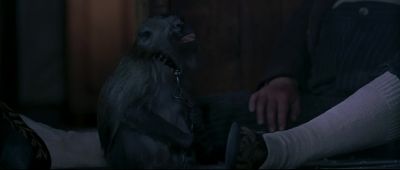 Aw The monkey's been shot - Ned Kelly