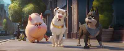 Aw! Well, you might
not have your Superman, - DC League of Super Pets