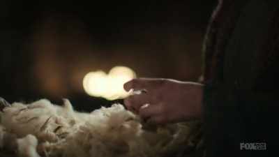 Awakening from their long sleep, - Lambs of God