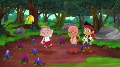Awesome coconuts - Jake and the Never Land Pirates