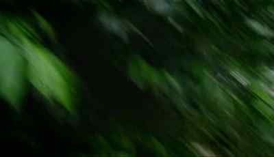 AWESOME.
THAT'S CUT DOWN THEN. - Man vs. Wild