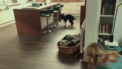 Aww! Look at her!
Brandy! What's this? - After Life
