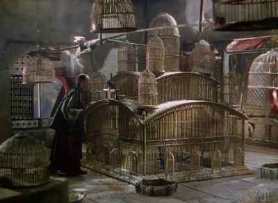 (Ayah squawks) - Black Narcissus