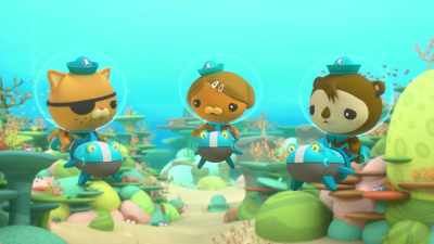 Aye. We've searched the whole reef - Octonauts and the Caves of Sac Actun
