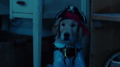 B Dawg has a plan - Spooky Buddies