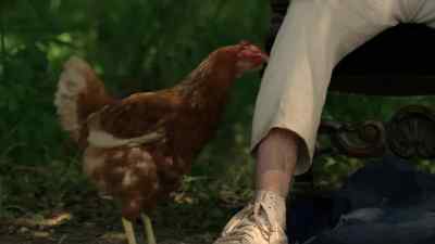 Hey, get off. - Preacher