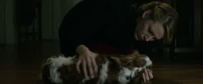 Baby, are you okay? - The Age of Adaline