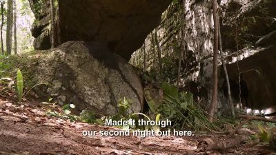       [baby bird screeching] - Naked and Afraid