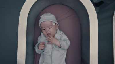 (BABY CHICKENS) - The Ark