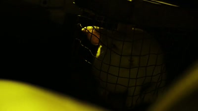 Baby hooker, shooting your gun. - Kick Me