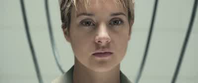 Back again, are we? - Insurgent