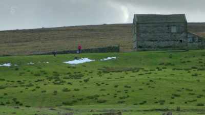 Back at the farm, - Our Yorkshire Farm