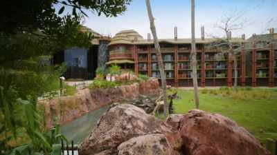 Back at the Lodge, friendly hornbill, - Magic of Disney's Animal Kingdom