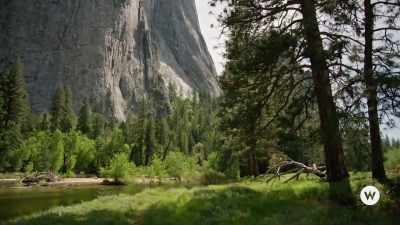Back when I was rock climbing, - Marry Me in Yosemite