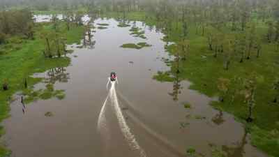 Back in Bayou Natchez, - Swamp People