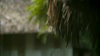 Back in northern Guatemala, - Lost Treasures of the Maya