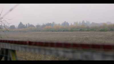 Back in the '70s,
the fog was way heavier - I'll Be Gone in the Dark
