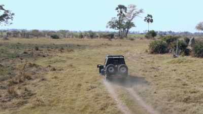 Back in the Okavango Delta,
the crew is set to capture - In the Footsteps of Elephant