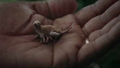 Back in the Triassic, - Cosmos: Possible Worlds