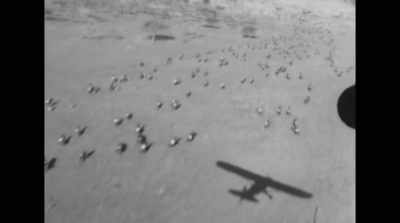 Back then, it seemed inconceivable
that we, a single species, - David Attenborough: A Life on Our Planet