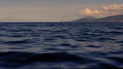 "Back to where their
investigation started." - Secrets of the Whales