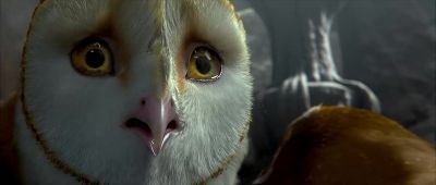 Back to work - Legend of the Guardians: The Owls of Ga'Hoole