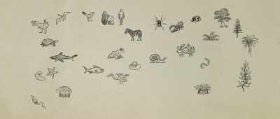 ... and bacteria through the entire fossil record, - Is Genesis History?