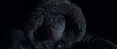 Bad Ape. - War for the Planet of the Apes