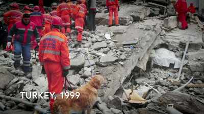Bad concrete also had deadly
consequences in Turkey in 1999, - This Giant Beast That is the Global Economy