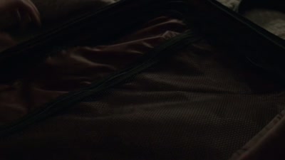 [bag zips] - The Collective