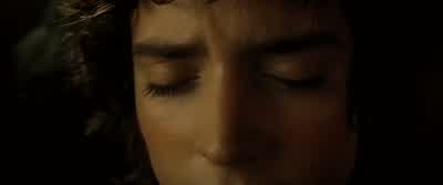 Baggins? - The Lord of the Rings: The Fellowship of the Ring