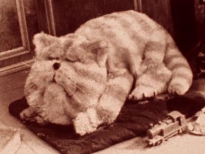 Bagpuss dear Bagpuss - Bagpuss