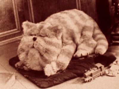 Bagpuss dear Bagpuss - Bagpuss