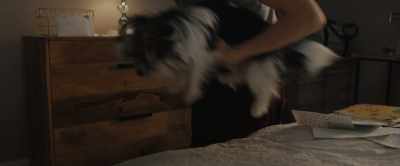 [Bailey] Sometimes the best thing
you can do is just be there, - A Dog's Journey