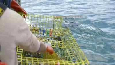 Bait bag, get the crabs out. - Restaurants at the End of the World