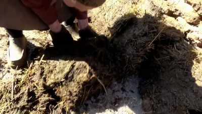 (BAKHMA SIGHS
AND SPEAKS OWN LANGUAGE) - From Russia to Iran: Crossing Wild Frontier