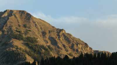 Balance will be restored
without any help from mankind. - Yellowstone: One-Fifty