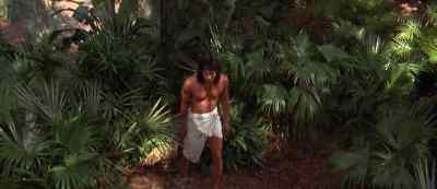 Baloo? - The Jungle Book