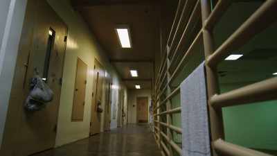 Banfield: THE GUARDS APPROACH
THE CELL HOUSING - Who Killed Jeffrey Epstein?
