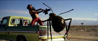 [bangs] - Dead Ant