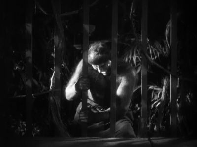 Bar Grating - Island of Lost Souls