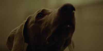 (Barking echoes) - Gangs of London