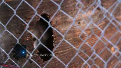 [barking and howling] - Life Below Zero: Next Generation