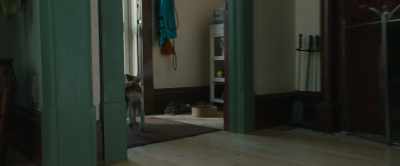 Barking I can't let Ethan down - A Dog's Journey