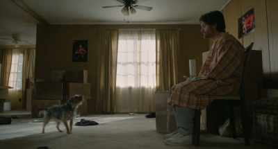 (barking) - Strays