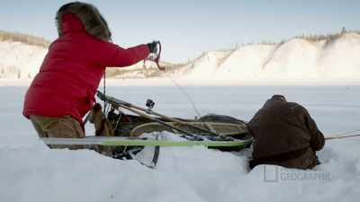(barking) - Life Below Zero: First Alaskans